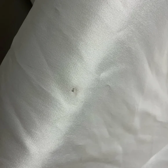 Hayley Paige Vanna gown - Picture 11 of 16